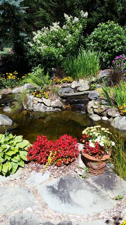 Four Seasons Landscape - View Portfolio