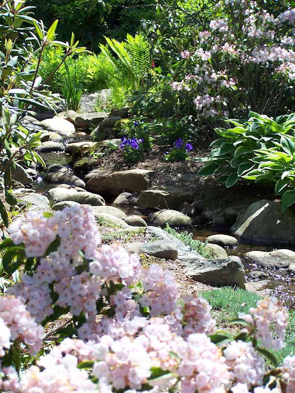 Four Seasons Landscape - View Portfolio